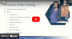 Thumbnail of Pregnant Workers Fairness Act: What Employers Need to Know Webinar