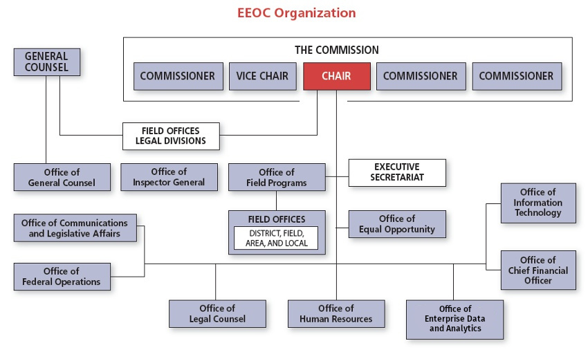 new_org_chart_oeda